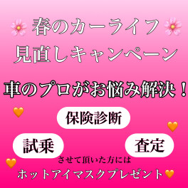 カーライフ見直しキャンペーン実施中！！！